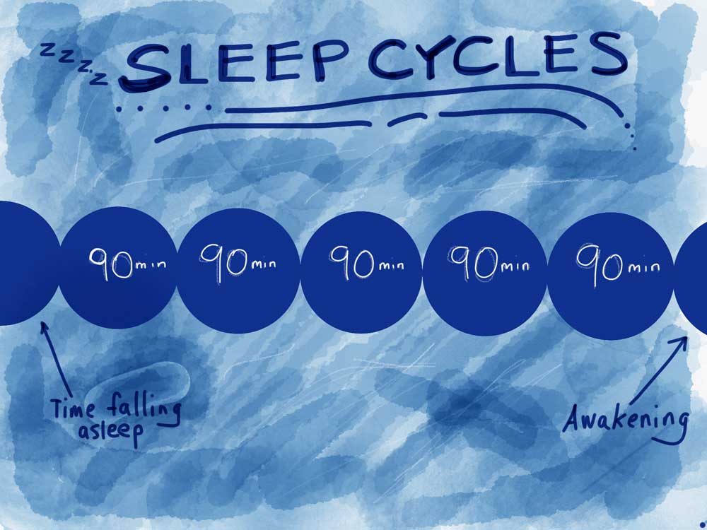 Sleep Cycles